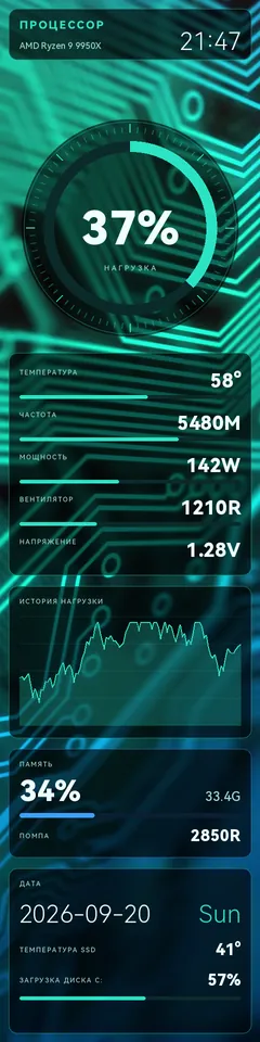 Тема Video Circuit CPU на панели TURZX